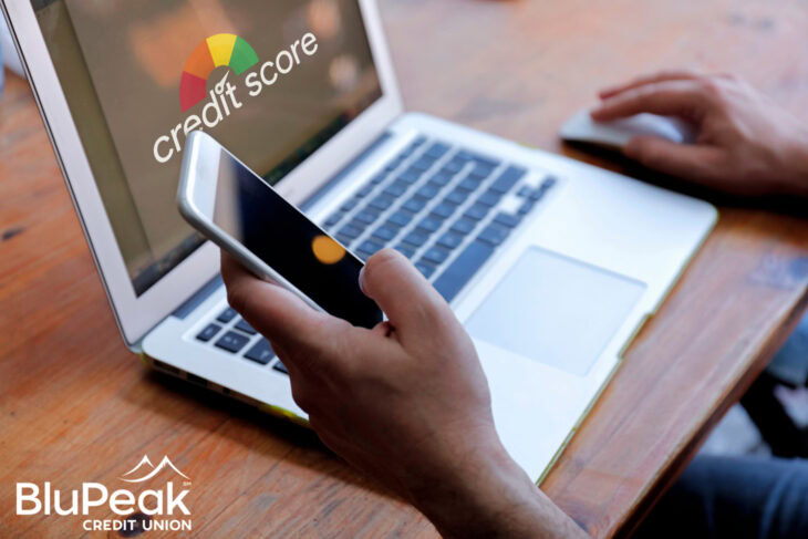 person checking their credit score on computer