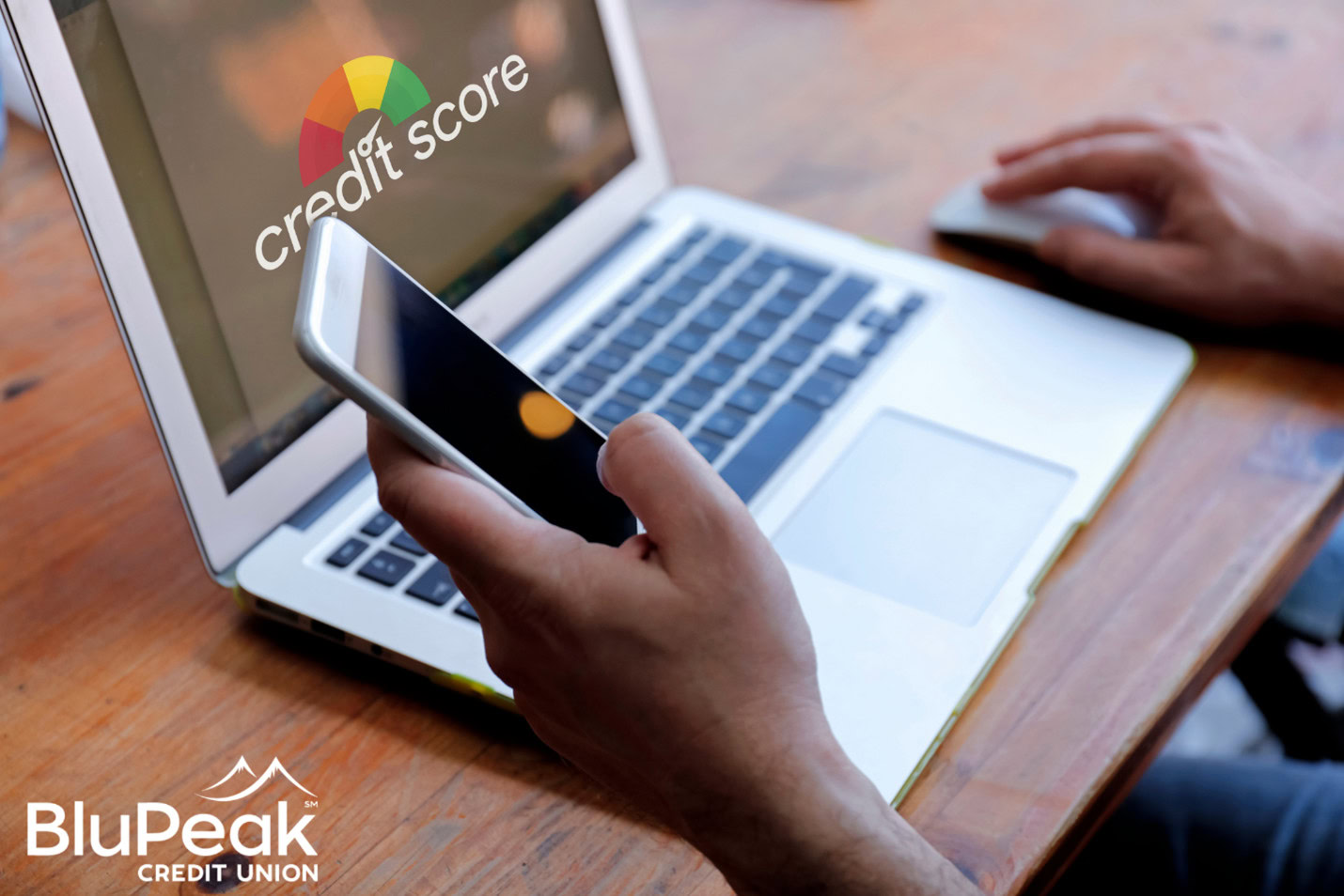 person checking their credit score on computer