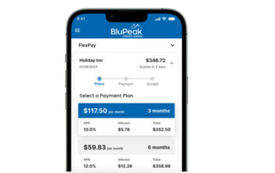Flexpay in phone